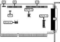 NCL AMERICA &nbsp; NCL 300R