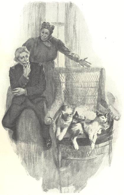 &ldquo;&lsquo;Look at that pile of cats in your
chair&rsquo;&rdquo;