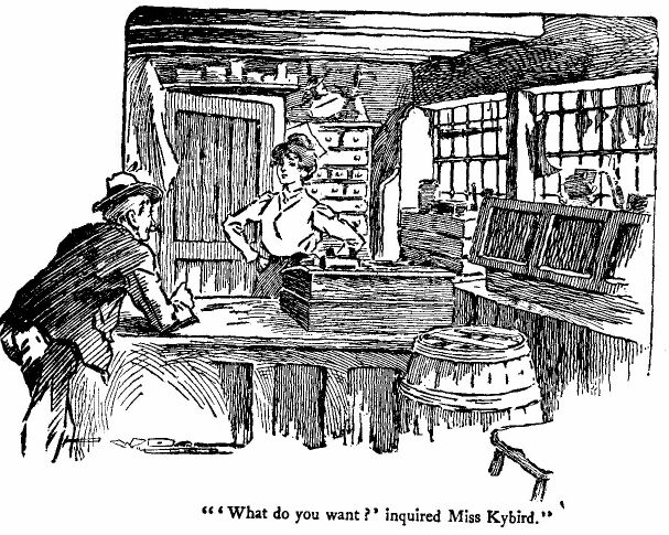 'What Do You Want?' Inquired Miss Kybird.' 