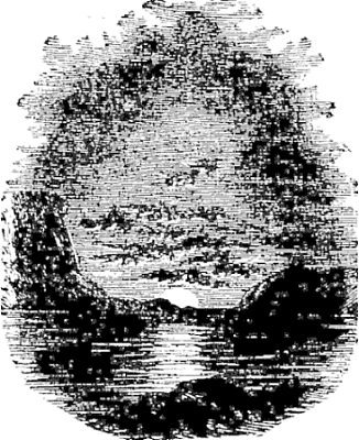 Illustration: TAIL PIECE&mdash;TOWARDS THE SUN