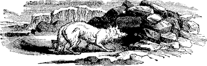 Illustration: TAIL PIECE&mdash;GAME