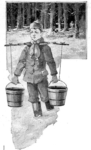 After each trip into the woods Roy would turn two
brimming pails of sap into the big kettle.