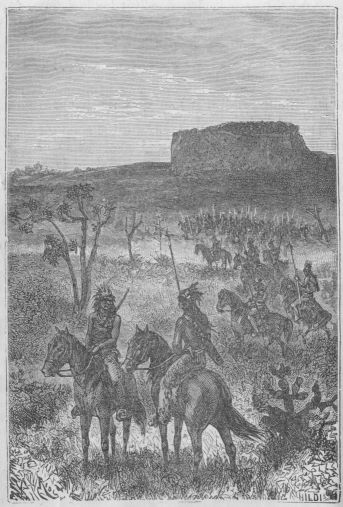 Kojoteerot eiv�t olleet t��ll� ensi kertaa.