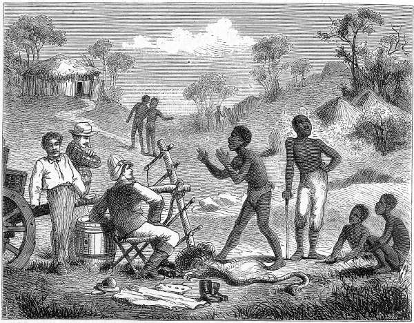 Erz&auml;hlender Barolonge.