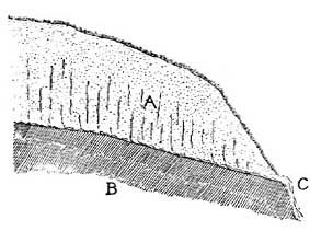 FIG. 38.&mdash;How springs are formed. A, porous layer; B, non-porous layer; C, spring.
