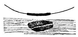 FIG. 210.&mdash;A wire carrying current attracts iron
filings.