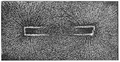 FIG. 224.&mdash;Iron filings scattered over a magnet arrange
themselves in definite lines.