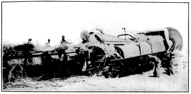 The stalks are fed sidewise in a
continuous layer 2 to 3 inches thick,
turning out about 4,000 pounds of clean fiber per day and five times
as much hurds.