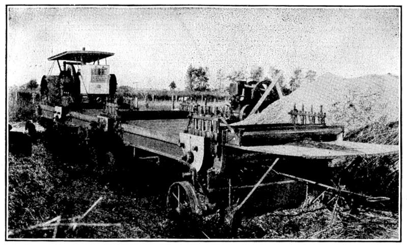 Machine brake and hemp hurds.
Hemp hurds from machine brakes quickly accumulate in
large piles.