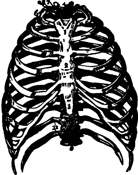 Illustration:
Fig. 11.