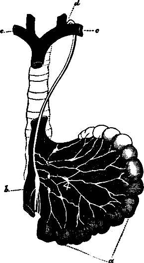 Illustration:
Fig. 32.