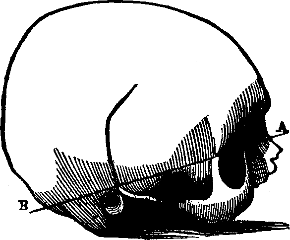 Illustration:
Fig. 89.