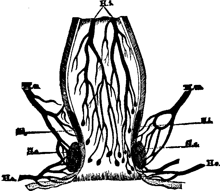 Illustration:
Fig. 3.