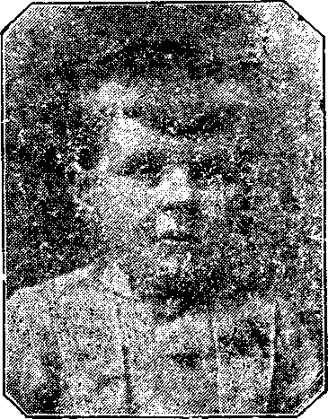 Illustration:
Miss McCarty.