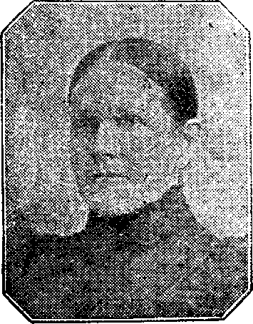 Illustration:
Mrs. Gibbons.