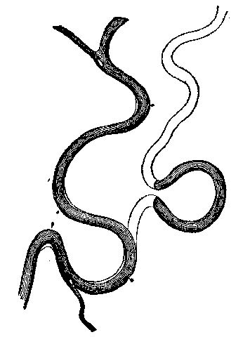 Fig. 11.&mdash;Oxbows and cut-off. Showing the changes in
the course of a river in its alluvial plain.