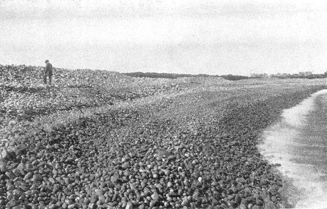 Pocket Creek, Cape Ann, Massachusetts. Note the
relatively even size of the pebbles, and the splash wave which sets
them in motion.