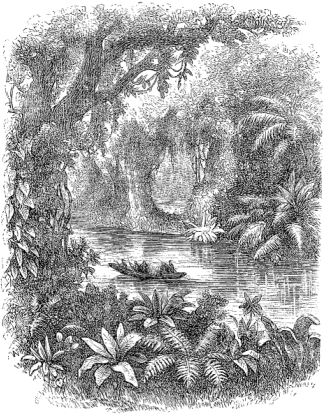 Igarap&eacute;, or Canoe-path.