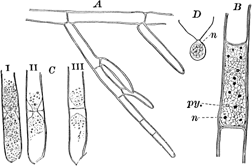 Fig.&nbsp;13.