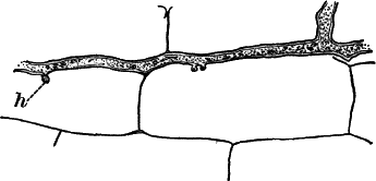 Fig.&nbsp;34.