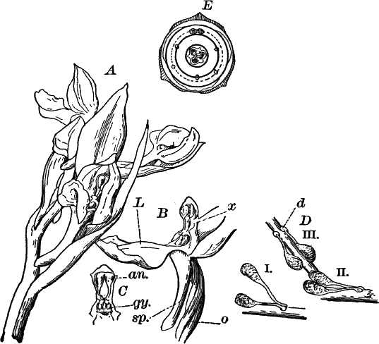 Fig.&nbsp;89.