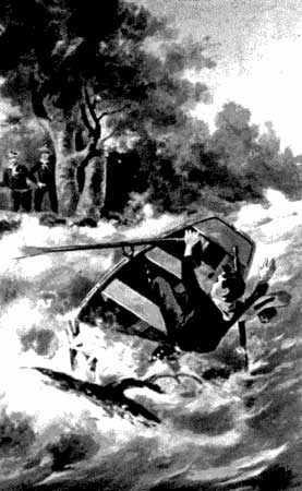 The next instant the boy was hurled
headlong into the boiling and foaming current