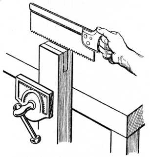 Fig. 87.&mdash;Third, or Horizontal Cut.