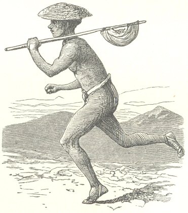 Sir Harry&rsquo;s Messenger