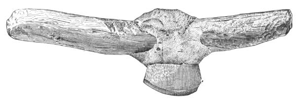 Fig. 251&mdash;Stone implement from Honanki