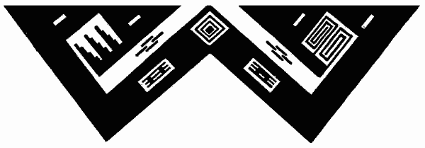 Fig. 321&mdash;W-pattern; terminal terraces and crooks.