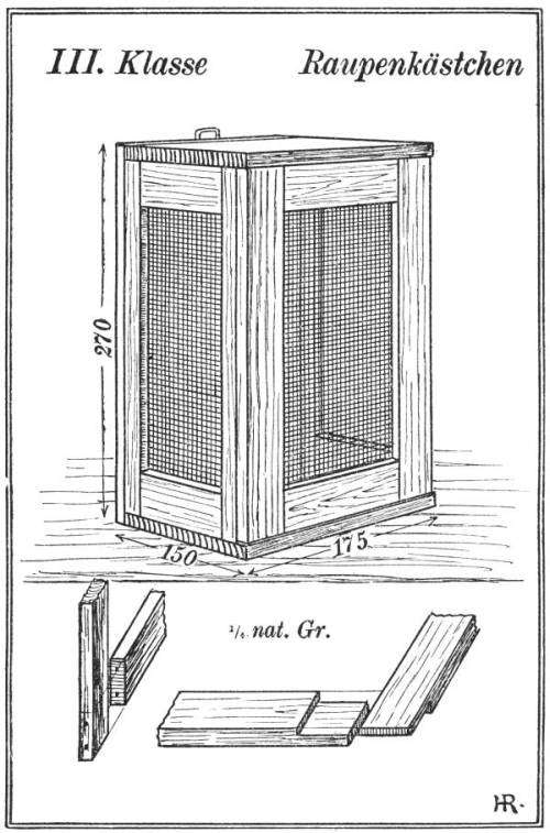 III. Klasse Raupenk&auml;stchen, &frac14; nat. Gr.