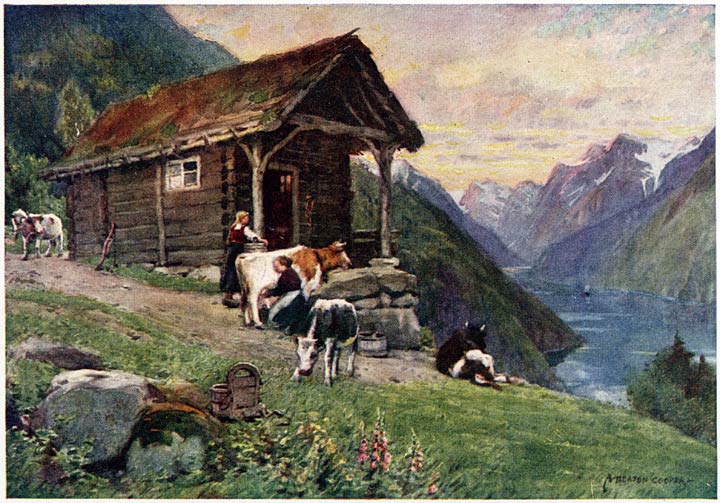 A S&aelig;ter, Vetle Fjord