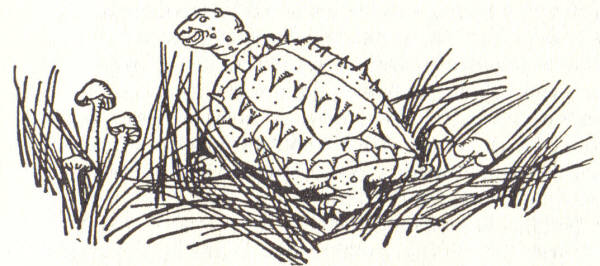 The tuxix wanders away