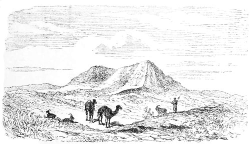 Fig. 35.&mdash;Tell-Ede, in Lower Chald&aelig;a. From Rawlinson's Five
Great Monarchies.