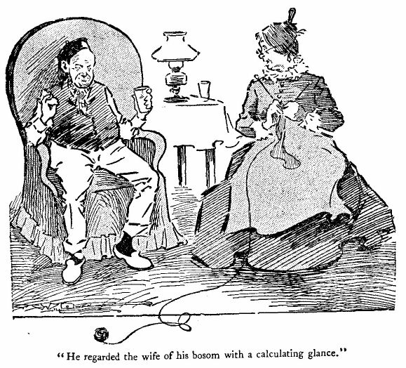 &lsquo;he Regarded the Wife of his Bosom With a Calculating Glance.&rsquo; 