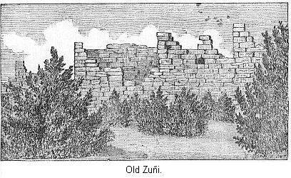 Old Zu&ntilde;i.