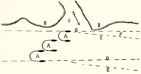 Fig. 29.&mdash;Diagram illustrating the effect of tide on minesweeping operations.