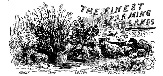 THE FINEST FARMING LANDS WHEAT CORN COTTON FRUITS &
VEGETABLES