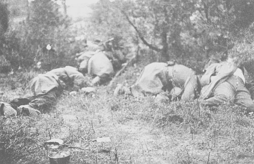 “THE WOODS WERE ... DOTTED WITH THE BODIES OF THE
DEAD”