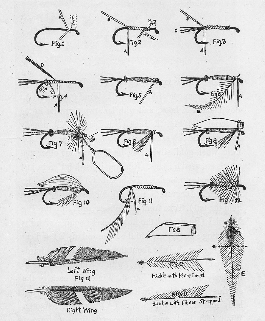 Page sized diagram
showing drawings of wet flys.