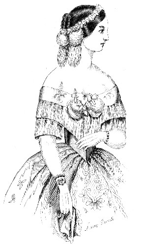 Fig. 2.&mdash;Evening Costume.