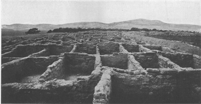 Ruins of South House, one of the great communal dwellings
of Frijoles Ca&ntilde;on, after excavation