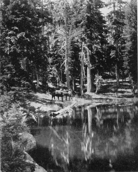 "A sky blue lake set like a sapphire in an emerald
mount"