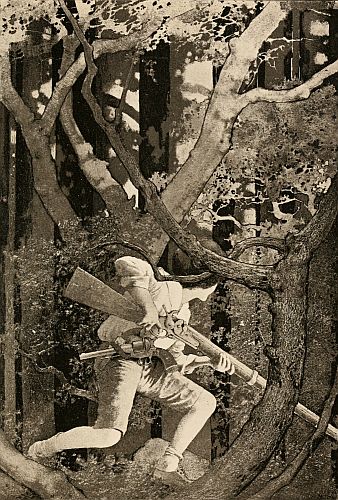 'It was easy .&nbsp;.&nbsp;. to transport yourself in a trice to the heart of a tropical forest'