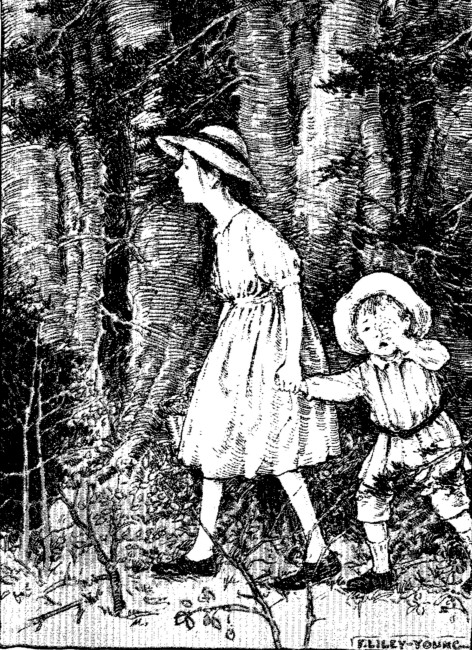 How we wandered,&mdash;round and round, up and down, hither
and thither.&mdash;Page 208.