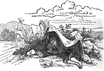 The boy slept in the shade and he went with his
work.