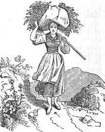 Crescence with a bundle of fresh clover on her
head.