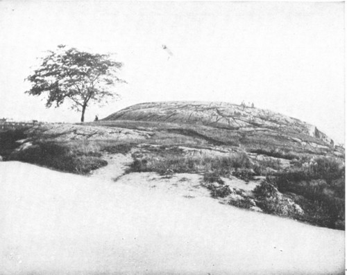 By permission of the American Museum of Natural History

Mt. Tom, West 83d St., New York