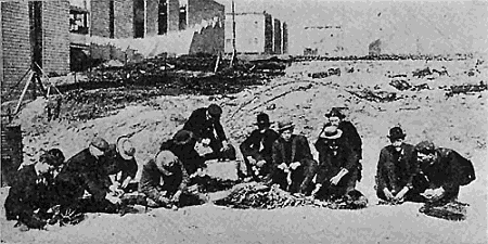 112 b. The modern method of combating the plague. A day's catch of rats in the fight
against plague in San Francisco. Courtesy of Review of Reviews.