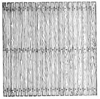 A Lath Panel.